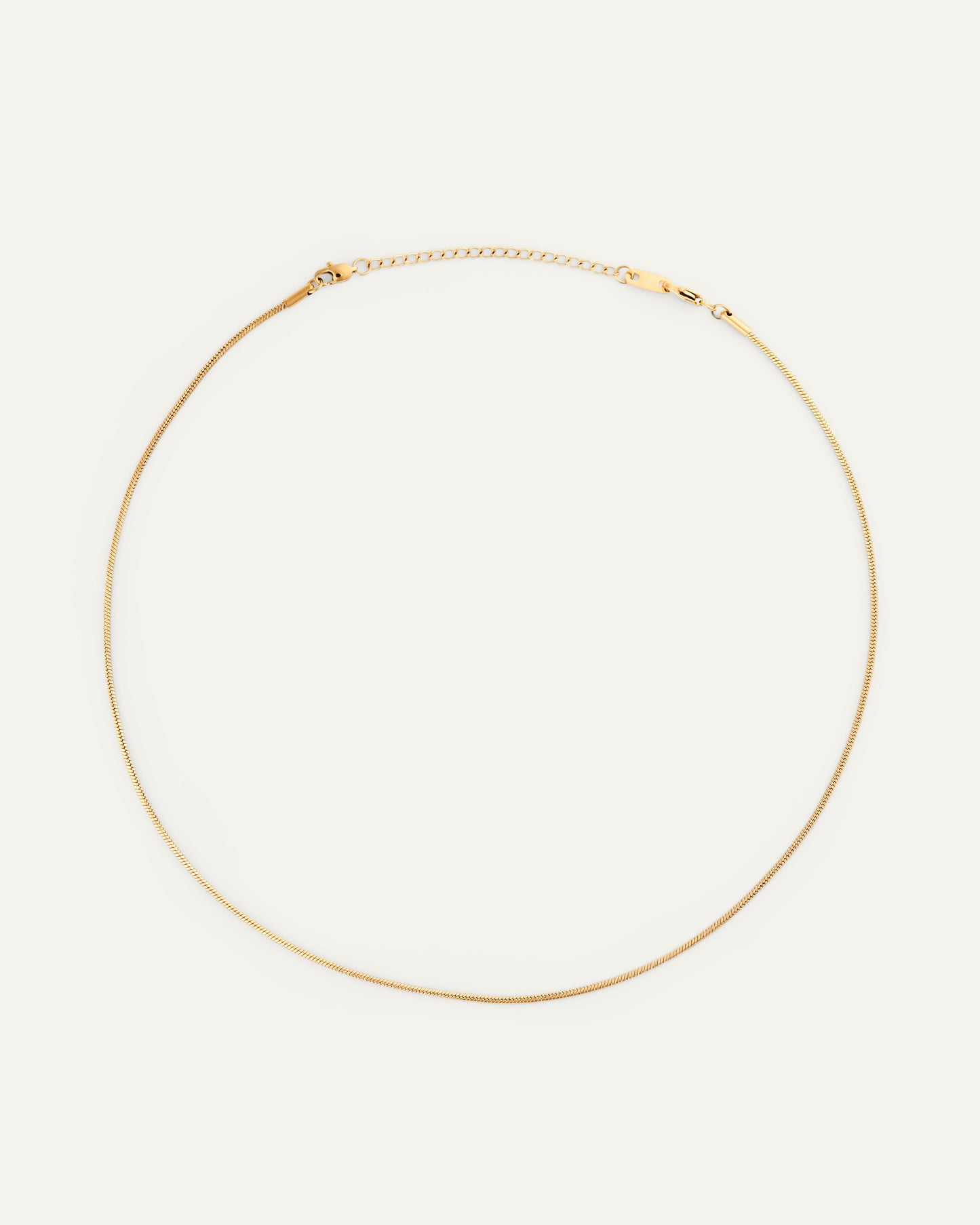 Snake chain necklace