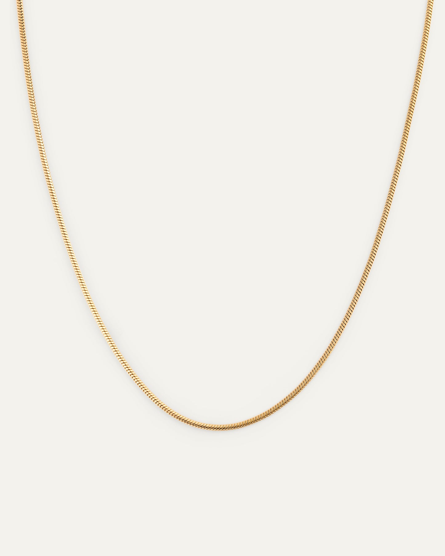 Snake chain necklace