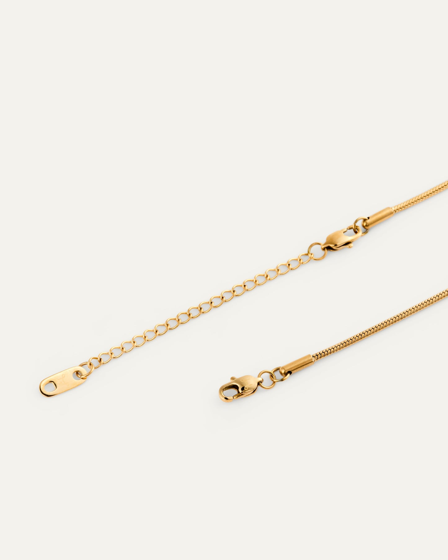 Snake chain necklace