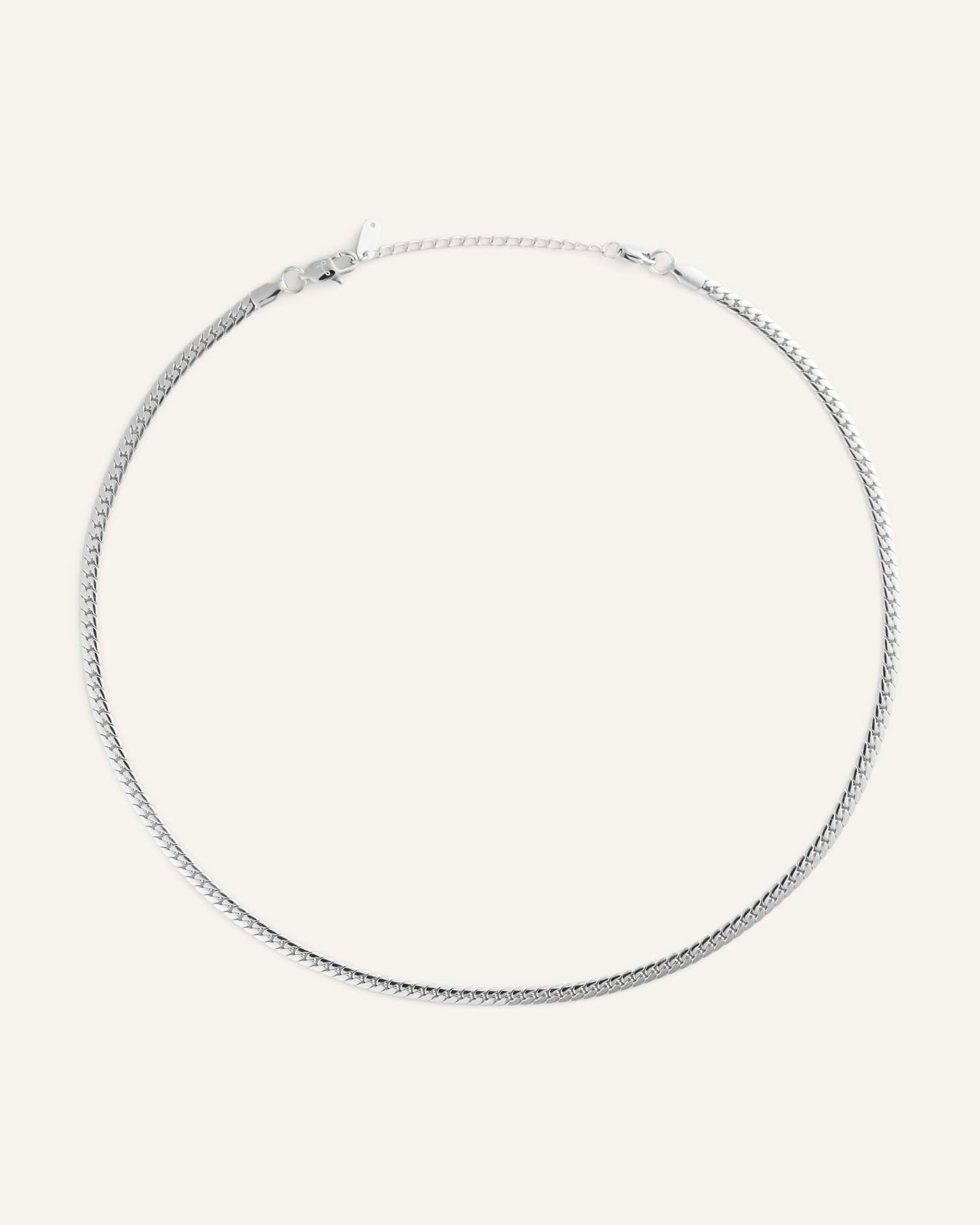 Serpentine Chain Steel Necklace