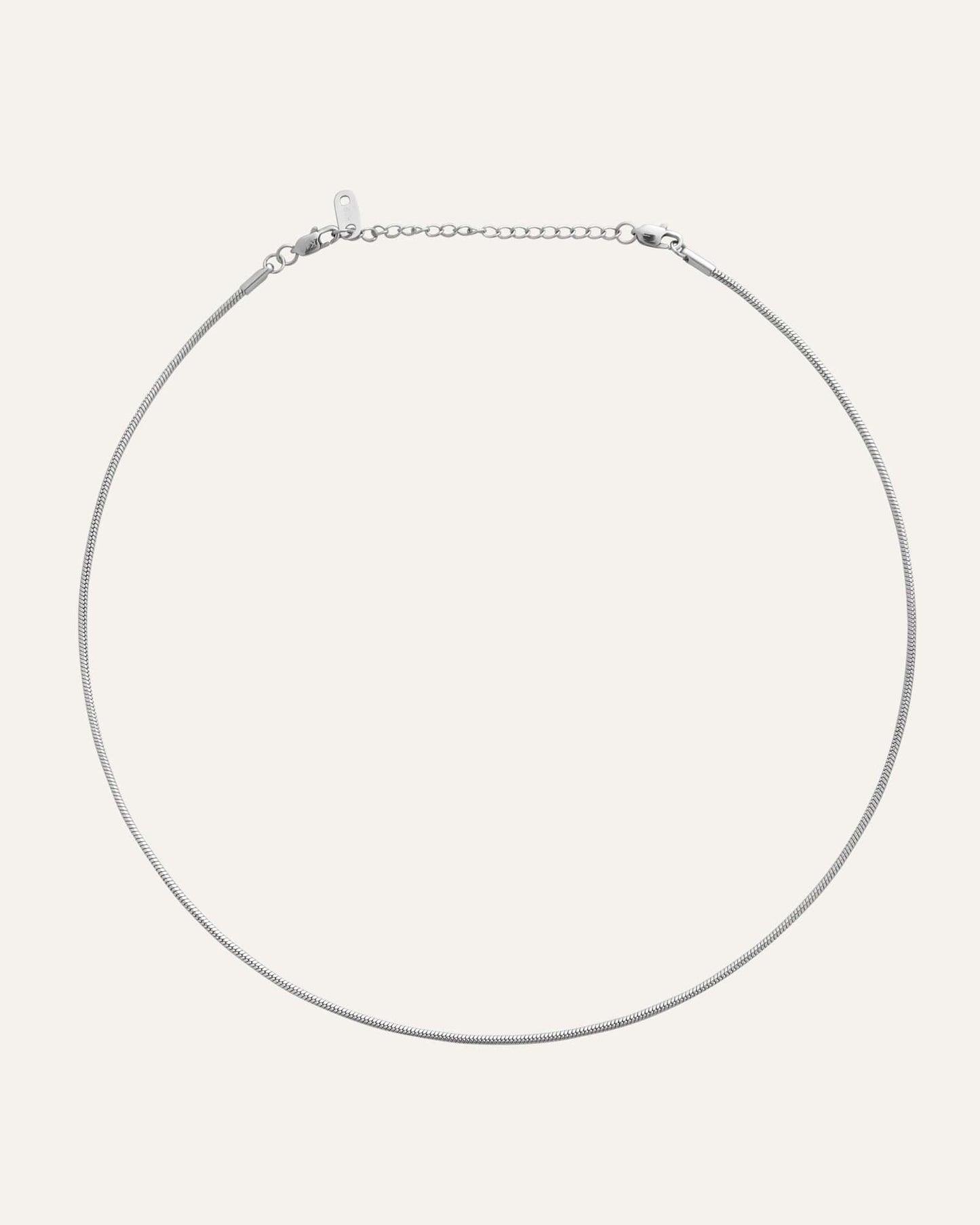 Snake Chain Necklace